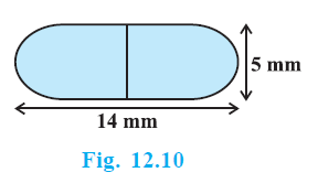 Page 166 Chapter 12 Class 10th Maths NCERT 2024-25